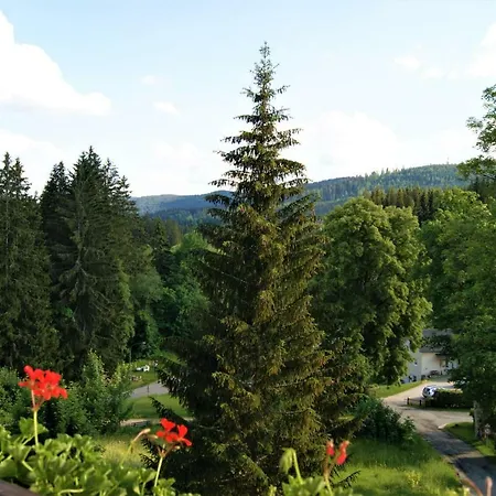Gasthuis Sumavacek Bayerisch Eisenstein